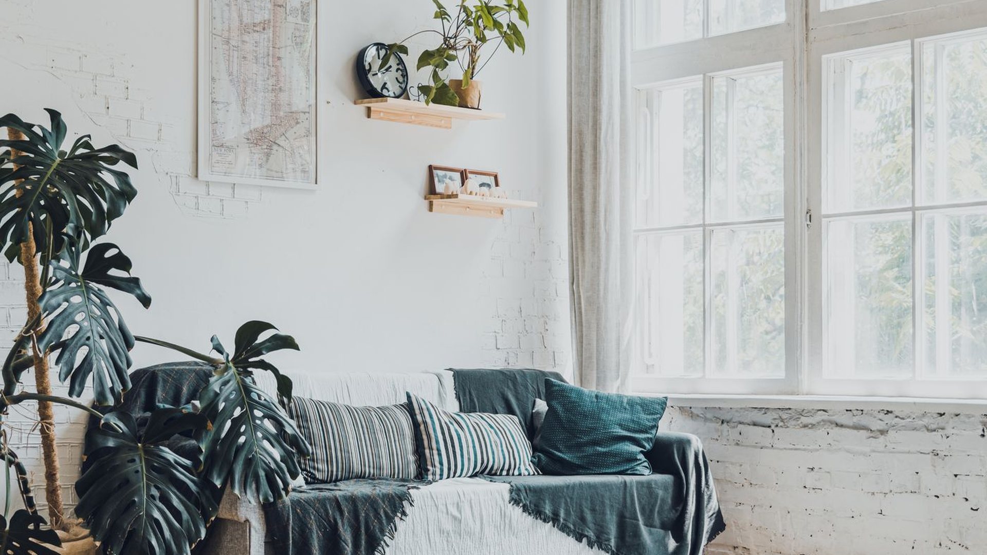 A bright living room with freshly painted white walls, plants and natural light